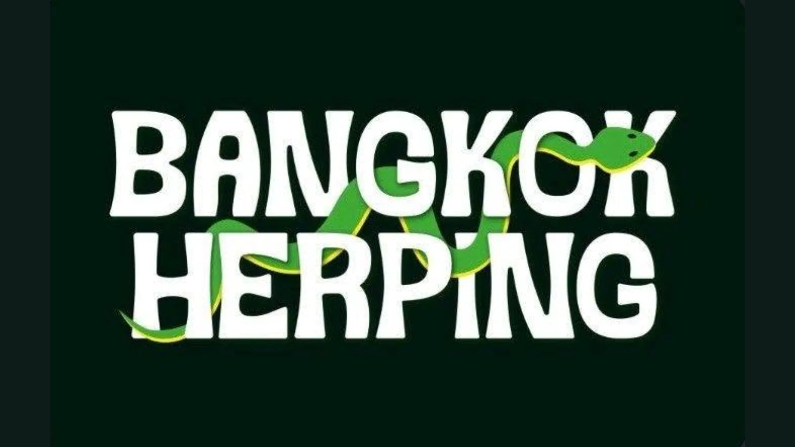 Bangkok Herping hero