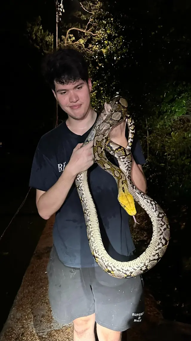 Bangkok Herping guide holding a large python