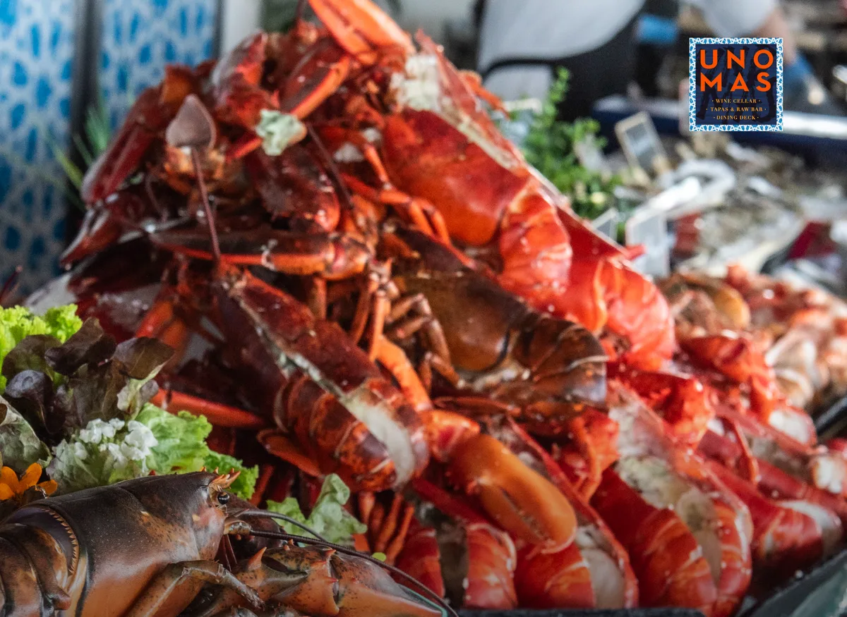 UNO MAS CHAMPAGNE BRUNCH | 1 NOVEMBER